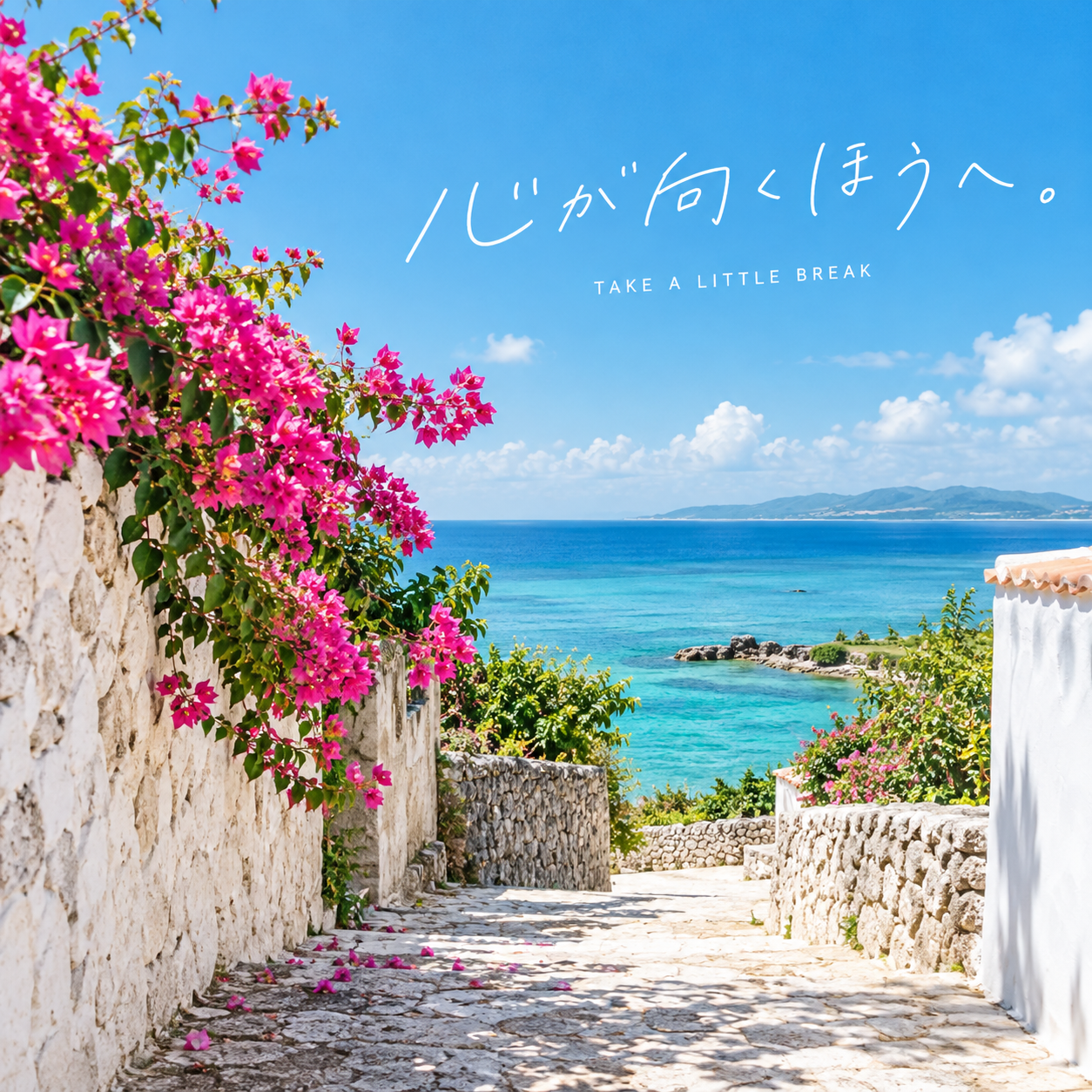 SNS投稿 SNS: SNS カフェ・花・旅｜海辺の散歩道