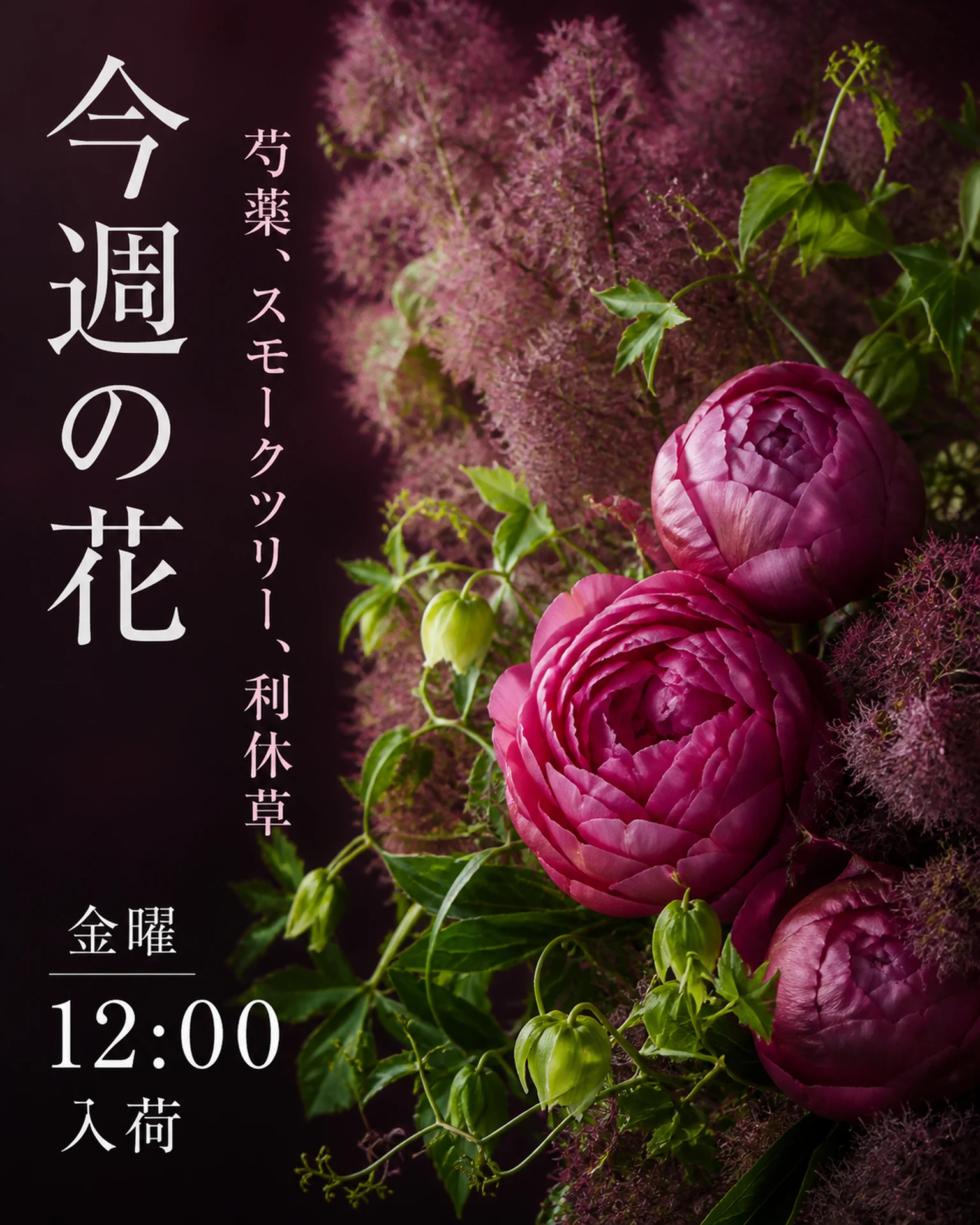 小売・ショップ SNS: 紫の花の入荷案内